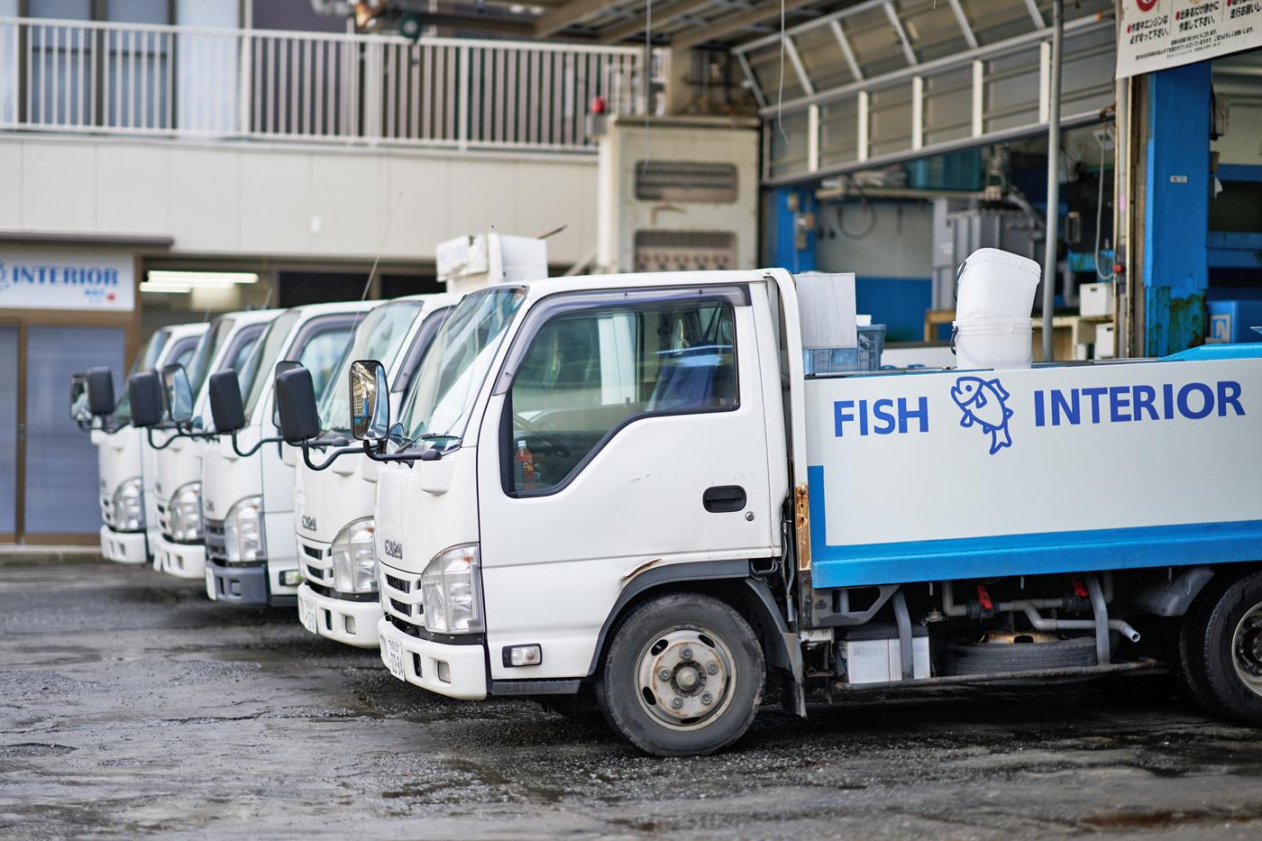 未経験OK★魚を運ぶセールスドライバー募集！
